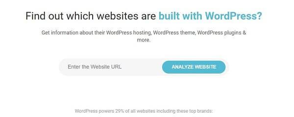 how to detect wp theme using isitwp tool